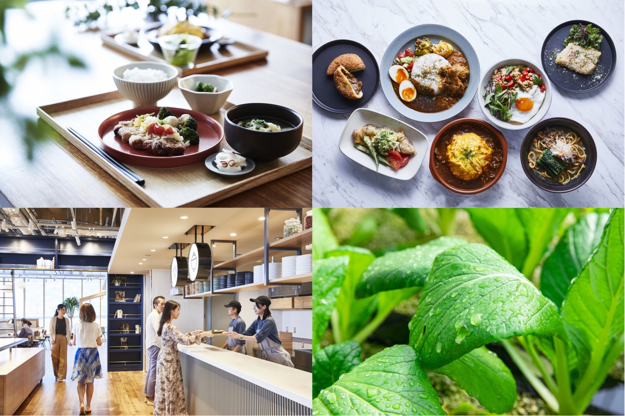 地元産の旬の新鮮食材を使った社員食堂＆まちのレストラン 「角川食堂