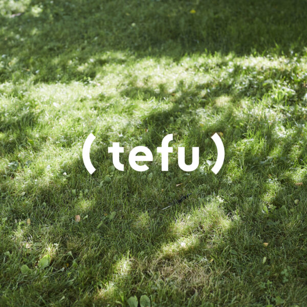 tefu_top_logo