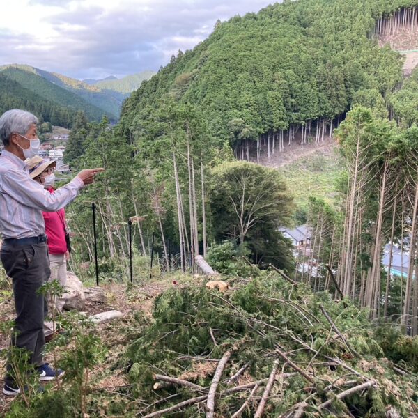 0_39_03 材木を有効に 『井口さんは村の協力を経て、間伐材ヒノキの葉を用いた精油による香りを開発中』