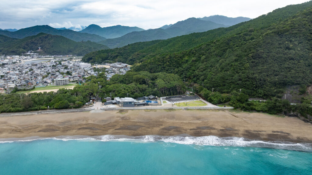 Hiwasa Chelonian Museum Caretta | 徳島県美波町の大浜海岸は、うみがめの産卵上陸地として国の天然記念物に指定されています。その海岸に面したロケーションに、「日和佐うみがめ博物館 カレッタ」があります。